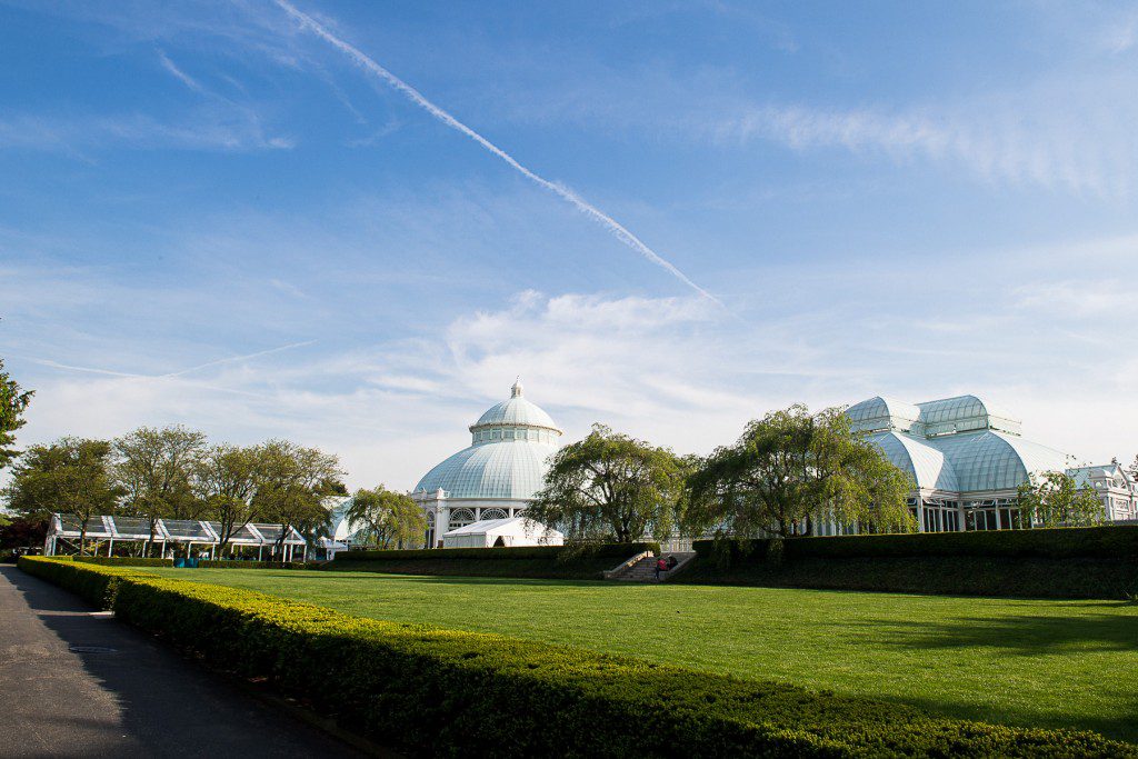nybg2015-013