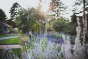 Outdoor Wedding Venue in NYC